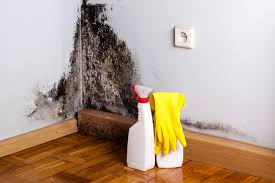 Best Crawl Space Mold Remediation  in USA